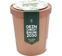 Wunderle Kit de Culture Écologique "Votre Sapin de Noël 2030" - 1 kit