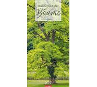 Wunderwelt der Bäume Kalender 2027: Baum-Fotos durch alle Jahreszeiten in einem länglichen Kalender im Format 33 x 68 cm. Jahres-Wandkalender mit Fotos von der Blüte bis zum kahlen Winter.