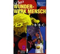 Wunderwerk Mensch 4 - Die jungen Wilden [VHS]