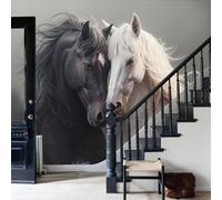WunM Studio Papier Peint Intissé Fresque Murale animaux sauvages Le cheval noir de la photographie réaliste Décoration Murale Salon Chambre Grand Format,Blanc,350x256cm Non Adhésif