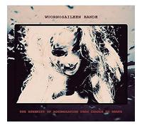 Wuornosaileen Bande - The Eternity of Accumulation from Cradle