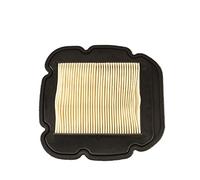 WUPEDI Grille de nettoyage filtre à air moto DL650 DL 650 2004-2012 DL1000 1000 2002-2010 KLV1000 KLV 2004-2006 Filtre d'admission pour moteur de moto