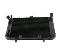 WUPEDI Grille de refroidissement radiateur, garde GSR400 600 2004-2010 noir Radiateur pour système de refroidissement de vélo