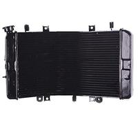 WUPEDI Refroidisseur de radiateur d'accessoires moto, for HAYABUSA GSX1300R GSXR1300 Radiateur pour système de refroidissement de vélo