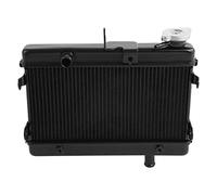 WUPEDI Refroidisseur de radiateur moteur moto, for Rebel 300 CMX300 2017-2021 Radiateur pour système de refroidissement de vélo