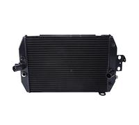 WUPEDI Refroidisseur de radiateur moteur moto, for, XVZ1300 XVZ 1300 ROYAL STAR 1999-2013 2006 2009 Radiateur pour système de refroidissement de vélo