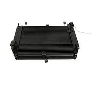 WUPEDI Refroidisseur de radiateur remplacement en aluminium, for, YZF R1 2002-2003 2002 2003 Radiateur pour système de refroidissement de vélo