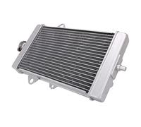 WUPEDI Refroidisseur de réservoir d'eau radiateur moto, for, YFM700 YFM 700 2013-2020 Radiateur pour système de refroidissement de vélo