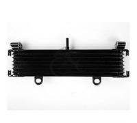 WUPEDI Remplacement de radiateur refroidisseur d'huile moto, for, XJR1300 1999-2013 Radiateur pour système de refroidissement de vélo