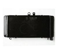 WUPEDI Système de refroidissement radiateur moteur moto, for CB900 CB919F HORNET900 2002-2007 Radiateur pour système de refroidissement de vélo