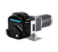 WUPLKCUIJ Petite Pompe doseuse péristaltique Chimique de Laboratoire avec Moteur à Courant continu 12 V for Une Distribution de Fluide de précision