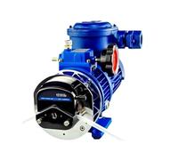 WUPLKCUIJ Pompe péristaltique de Transfert de Liquide, Moteur antidéflagrant, 380V, FB600