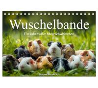 Wuschelbande - Ein Jahr voller Meerschweinchen (Tischkalender 2026 DIN A5 quer), CALVENDO Monatskalender: Der ultimative Meerschweinchen - Kalender! Hol ihn dir!