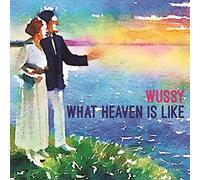 Wussy - What Heaven is Like