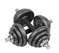 wuuhoo® Set d'haltères Phil - Barre d'haltères courte chromé, une boîte avec poids en fonte 30mm, Ensamble de Poids, Avec verrouillages étoile - Équipement de Gym à Domicile 20 kg