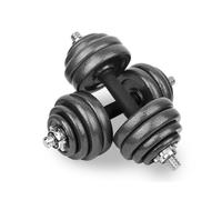 wuuhoo® Set d'haltères Phil - Barre d'haltères courte chromé, une boîte avec poids en fonte 30mm, Ensamble de Poids, Avec verrouillages étoile - Équipement de Gym à Domicile