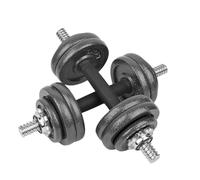 wuuhoo® Set d'haltères Phil - Barre d'haltères courte chromé, une boîte avec poids en fonte 30mm, Ensamble de Poids, Avec verrouillages étoile - Équipement de Gym à Domicile 15 kg