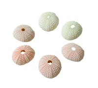 WUUISDNX 10 pièces décoration de Pot de Fleur en Coquille d'oursin de mer-décoration de Maison élégante et réaliste Base en Pot Chimique de Coquille de conque, Oursin rose4-5cm