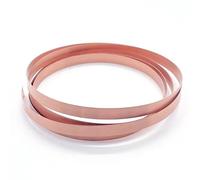 WUUKEPSG T2 Copper Strip Strap Sheet 2M For Lithium Battery Pack Welding Cu Strips Connector/0.2 * 10Mm*2M