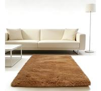 WUXXIANG Tapis Salon 90 x 60 cm Doux Moelleux, Élégant, Antidérapant, Moderne, à Poils Longs, Facile à Entretenir Tapis Doux pour Salon Chambre, Cuisine, Bureau, Couloir, Marron