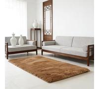 WUXXIANG Tapis Salon 90 x 60 cm Doux Moelleux, Élégant, Antidérapant, Moderne, à Poils Longs, Facile à Entretenir Tapis Ultra Doux pour Salon Chambre, Cuisine, Bureau, Couloir, Marron