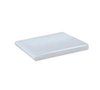 Wuyangcun Film de protection imperméable en polyéthylène pour serre 0,2 mm d'épaisseur pour jardin, plantes, étangs, caractéristiques anti-âge (1 x 1 m)