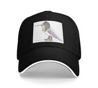 WUYIJGCS VintageRufus Hummingbird en Bottes de vol Vintage Mode Vintage Beach Rave Crème Solaire pour Les Femmes 2025 Essentiel pour Hommes pour l’Automne Chapeau Coupe-Vent