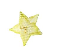 Wuyooprt Signets Acrylique Tranche De Fruit | Signets de Lecture Mignons | Marque-pages pour | pour Adultes Écoles Bibliothèques Célébrations Remises de Diplômes Anniversaires Fêtes