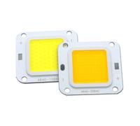 WVPJJNXAFN 2PCS Smart IC No Need Driver LED COB Lamp Bead DC27-36V 10W 50W 60W 70W DIY Flood Light Bulb Outdoor Spotlight Landscape Chip Lamps(3000K,10W 20X20MM)