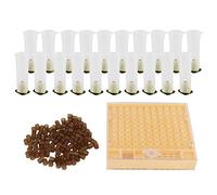 WW - boîte d'élevage de Reine des Abeilles, Cage en Plastique, Kit de Tasses de cellules d'élevage, équipements pour l'apiculture, Fournitures EEE