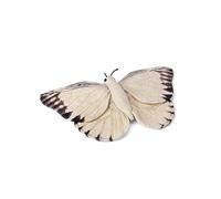 WWF Plüsch WWF01107, WWF Plüschtier Schmetterling (20cm), besonders Flauschige und lebensechte Plüschtierkollektion des WWF, hohe Qualitäts- und Sicherheitsstandards, Auch für Babys geeignet