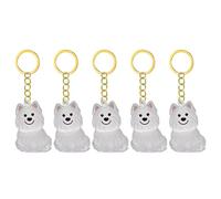 WWHJR Lot de 2/3/4/5/10 porte-clés transparents avec compartiment pour chiens et chats, souvenirs, collection de fourrures d'animaux domestiques, pendentifs de rangement pour cheveux