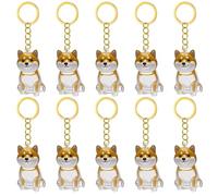 WWHJR Lot de 2/3/4/5/10 porte-clés transparents avec compartiment pour chiens et chats, souvenirs, collection de fourrures d'animaux domestiques, pendentifs de rangement pour cheveux