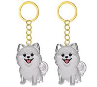 WWHJR Lot de 2/3/4/5/10 porte-clés transparents avec compartiment pour chiens et chats, souvenirs, collection de fourrures d'animaux domestiques, pendentifs de rangement pour cheveux