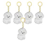 WWHJR Lot de 2/3/4/5/10 porte-clés transparents avec compartiment pour chiens et chats, souvenirs, collection de fourrures d'animaux domestiques, pendentifs de rangement pour cheveux