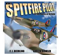Wwii Spitfire Pilot At The Battle Of Britain
