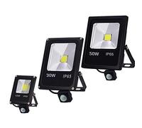 WWKQSTKR Projecteur LED extérieur avec détecteur de mouvement, 220 V, 50 W, 30, 10, lampe murale, réflecteur, éclairage étanche IP65, suivi (couleur : sans, taille blanc froid)