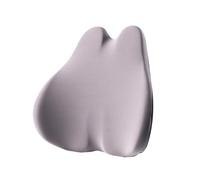 WWMOZ Soutien Cervical Et Lombaire pour Voiture,Coussin Lombaire Appui-Tête,pour Skoda Octavia 2024-2025,Soulager La Douleur,Accessoires Auto,F-1pc Light Gray Lumbar Pillow