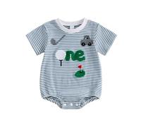 WWricotta Body à Manches Courtes pour garçon avec Broderie éponge et Motif rayé texturé, idéal pour Une Tenue d'anniversaire de bébé./A