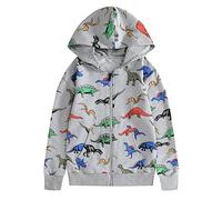WWricotta Sweats à Capuche pour Adolescents garçons Tout-Petits Sweat à Capuche zippé léger Enfants Dinosaure à Manches Longues Sweat Shirt 3 à 12 Ans Garçons Courte Tête De Mort