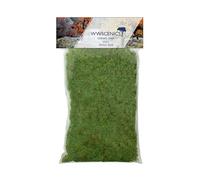 WWS War World Scenics WWScenics | 2mm Herbe Statique Printemps | 100g | WSG2-004 | Matériel pour Maquette Réaliste