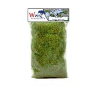 WWS War World Scenics WWScenics | 6mm Herbe Statique Printemps | 100g | WSG6-004 | Matériel pour Maquette Réaliste