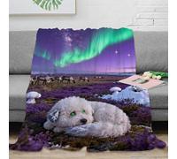 WXLWHR Couverture en Polaire Motif Bichon Frisé Couverture De Canapé Microfibre Ultra Douce Plaid Aurora Toundra, pour Chambre À Coucher, Salon, Canapé, Cadeau Unique 70x80inch(180x200cm)