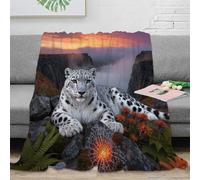 WXLWHR Couverture en Polaire Motif Léopard des Neiges Couverture De Canapé Douce Et Chaude Plaid Canyon, pour Les Trajets en Voiture/Train, Toutes Saisons 40x50inch(100x130cm)