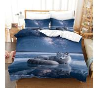 WXLWHR Housse De Couette Renard Arctique Microfibre 3D Parure De Lit Motif Galaxie Étoilée avec Fermeture Éclair & Taie d'oreiller Cadeau Fête Anniversaire Single（140x200cm）