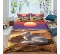 WXLWHR Housse De Couette Renard Arctique Microfibre Douce 3D Parure De Lit Imprimé Crépuscule Désertique avec Fermeture Éclair & Taie d'oreiller pour Adulte Enfant Double（200x200cm）