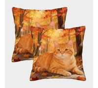 WXLWHR Housse De Coussin Chat Roux Lot De 2, Polyester Doux Housse De Coussin De Canapé, Taies D'oreillers Décoratives, pour Canapé Salon Chambre Chaise Lit, 50x50cm