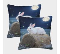 WXLWHR Housse De Coussin Le Lapin est sur Le tas de Foin 2er Set, Taie d'oreiller Polyester À Motif, Fermeture Éclair Invisible, pour Sofa, Chambre À Coucher, Home Décor 45x45cm