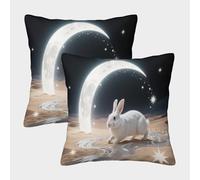 WXLWHR Housse De Coussin Lièvre Variable sous Lune désertique 2er Set, Taie d'oreiller Motif Polyester, Fermeture Éclair Invisible, pour Sofa, Chambre À Coucher, Décoration D'intérieur 40x40cm