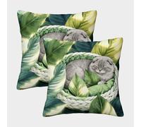 WXLWHR Housse De Coussin Scottish Fold Lot De 2, Polyester Doux Housse De Coussin De Canapé, Taie d'oreiller De Canapé, pour Canapé Chambre Décoration, 50x50cm